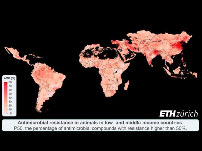 Antibiotic resistance in food animals nearly tripled since 2000
