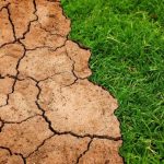 Believing in climate change doesn't mean you are preparing for climate change
