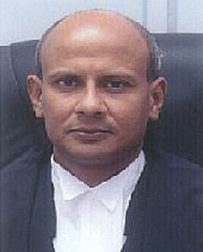 Justice P V Sanjay Kumar