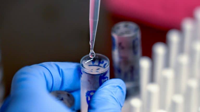 Metabolic discovery may help in fight against heart disease, diabetes