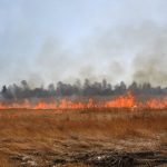 Outline governance & policy approaches to better manage wildfires