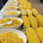 Sweet corn growers, processors