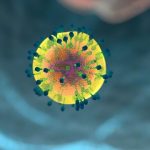 When studying immune cells, environment matters