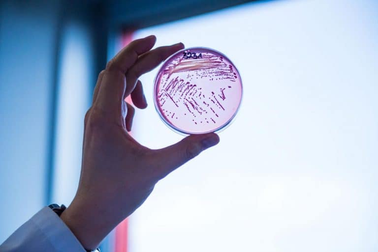 A new antibiotic to combat drug-resistant bacteria is in sight