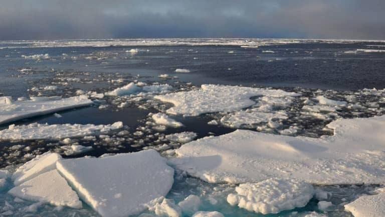 Abrupt shifts in Arctic climate projected