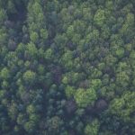 Conservation scientists call for reverse to biodiversity loss