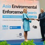 Environmental Enforcement Awards 2019
