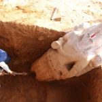 Excavation by Archaeological Survey of India in Gottiprolu, Andhra Pradesh