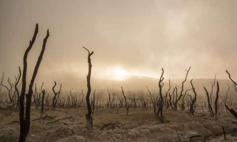 Population aging to create pockets of climate vulnerability in the US