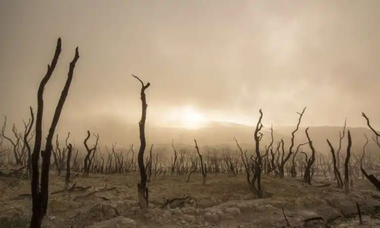 Population aging to create pockets of climate vulnerability in the US