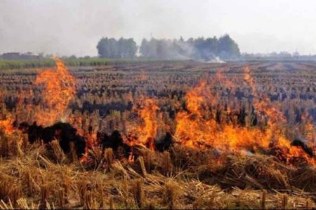 Union Ministry for Agriculture & Farmers Welfare adopts several steps to tackle Stubble burning