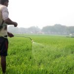 Antibiotics in Crops