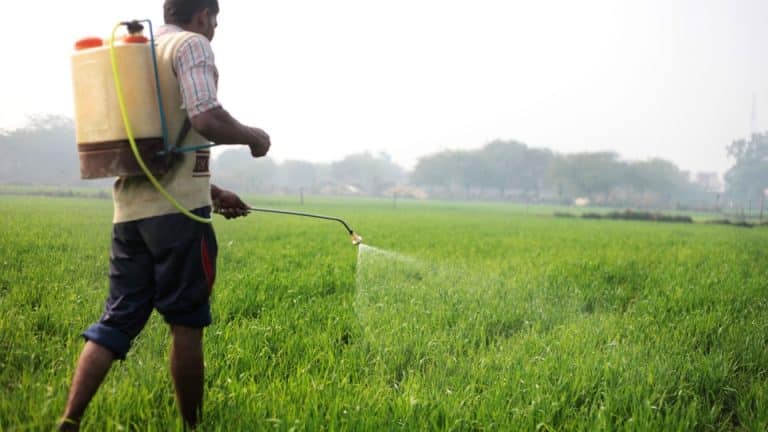 Antibiotics in Crops