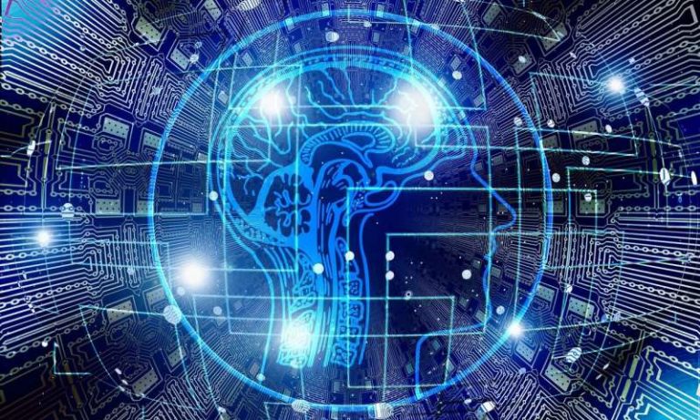 By imaging the brain, scientists can predict a person's aptitude for cognitive training