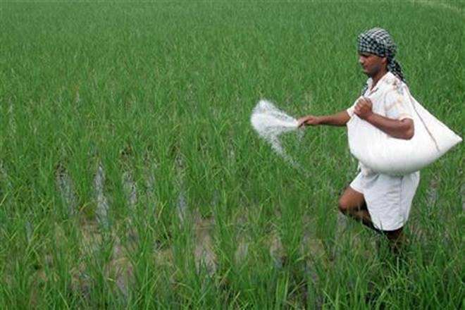 Cash transfer of fertilizer subsidy