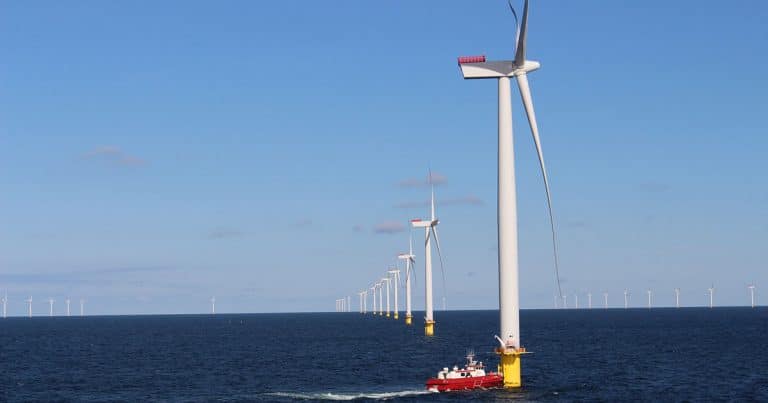 Consider marine life when implementing offshore renewable power