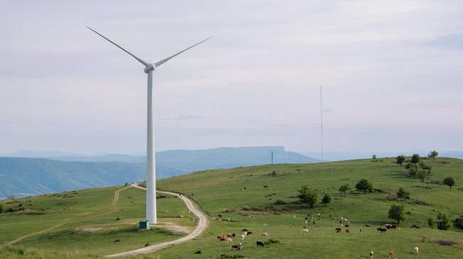 Forschungsverbund Berlin study on Biodiversity and Wind Energy