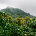 Global levels of biodiversityGlobal levels of biodiversity