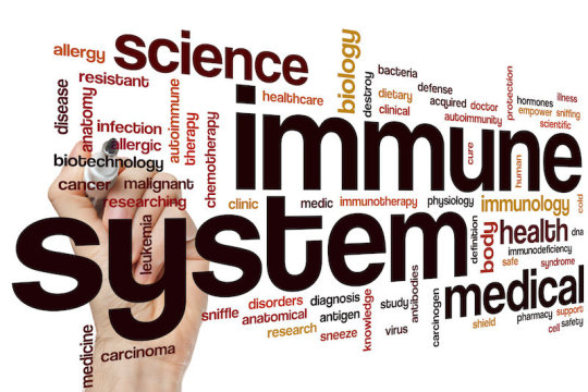 Humans co-evolved with immune-related