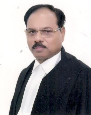 Justice Shekhar Kumar Yadav