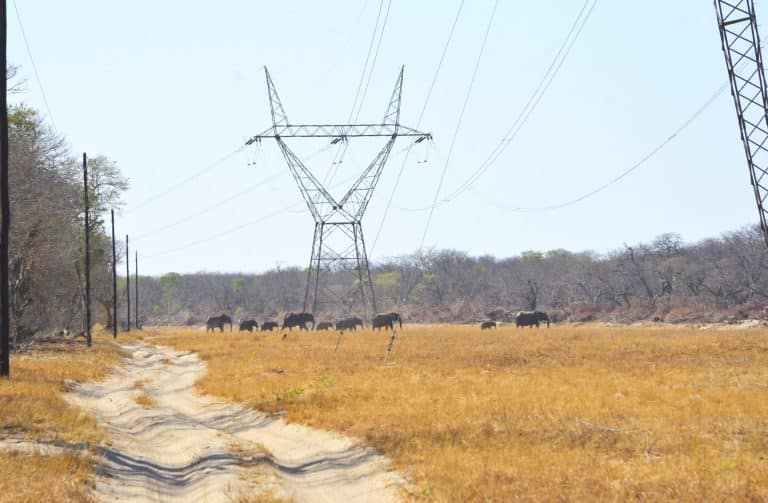 Limiting the loss of nature