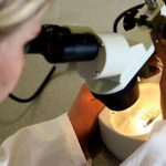 Root of childhood kidney cancer discovered