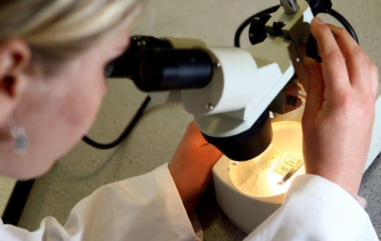 Root of childhood kidney cancer discovered