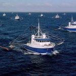Vessel Monitoring Systems (VMS)