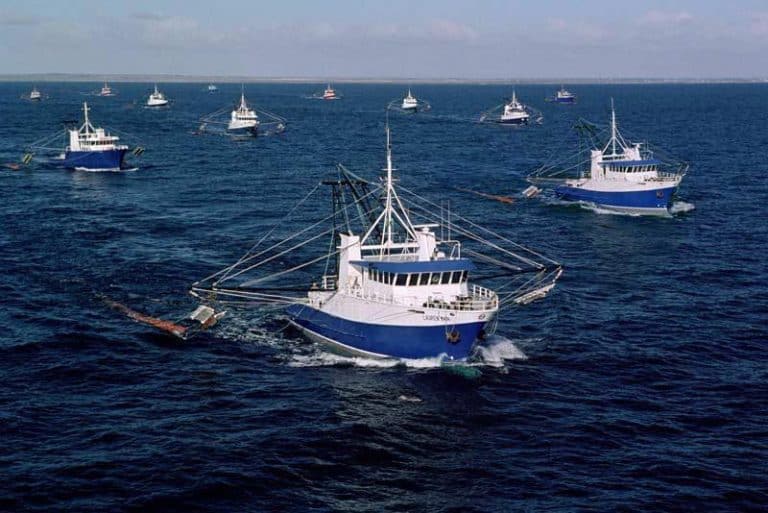 Vessel Monitoring Systems (VMS)