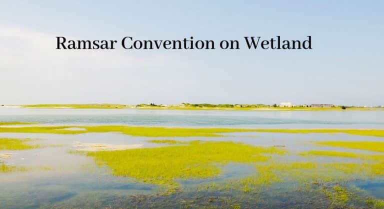 10 more wetlands from India get the Ramsar site tag