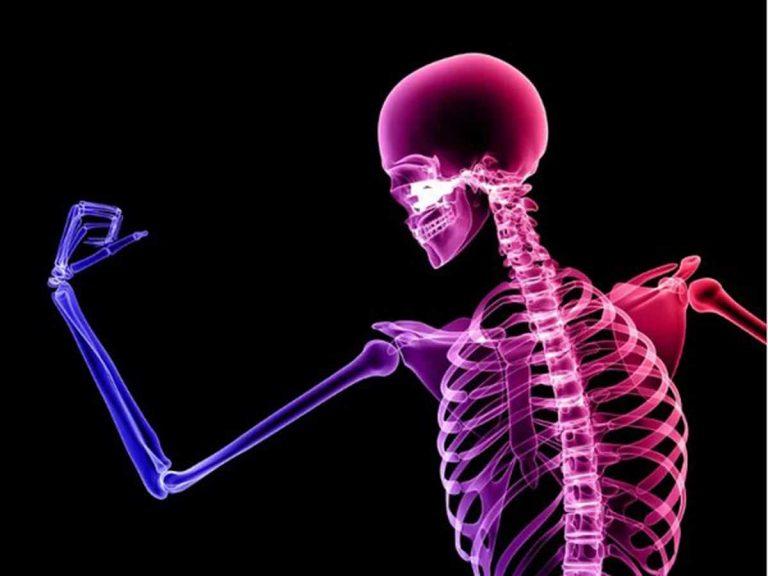 Air pollution can worsen bone health