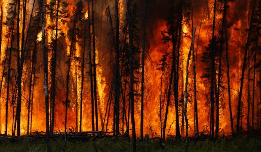 Air pollution in New York City linked to wildfires hundreds of miles away