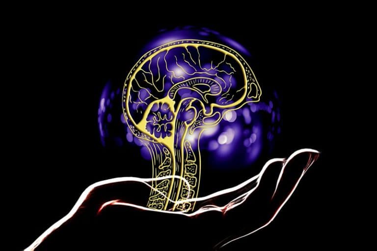 How a protein in your brain could protect against Alzheimer's disease