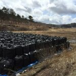 Lessons learned from an extraordinary case of soil decontamination