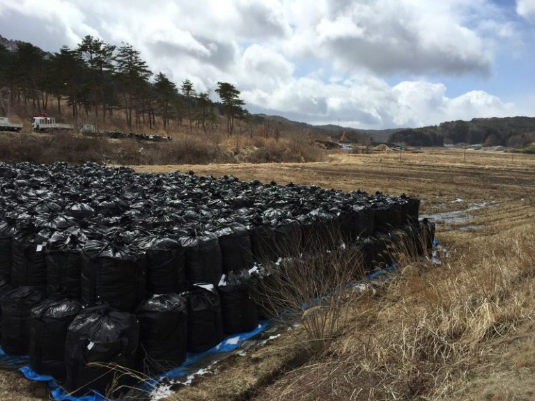 Lessons learned from an extraordinary case of soil decontamination