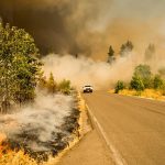 POSTECH study says Global warming is the kindling that caused extensive wildfire