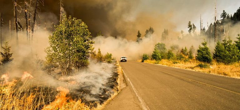 POSTECH study says Global warming is the kindling that caused extensive wildfire