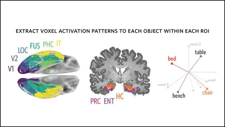 The link between drawing and seeing in the brain