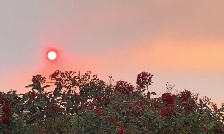 Air pollution impacts can be heart-stopping