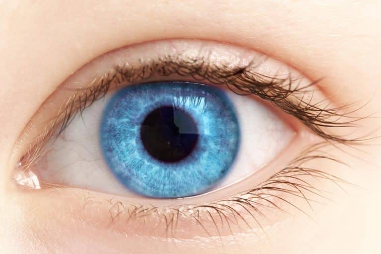 Research breakthrough for leading cause of blindness