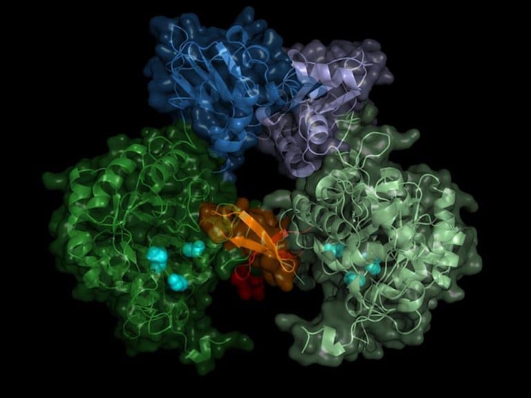 Researchers find possible new approach for sleeping sickness drugs