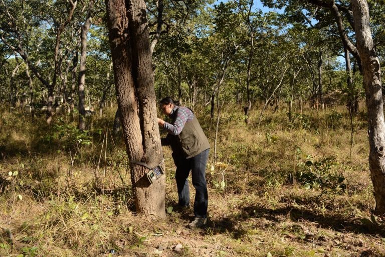 The do's and don'ts of monitoring many wildlife