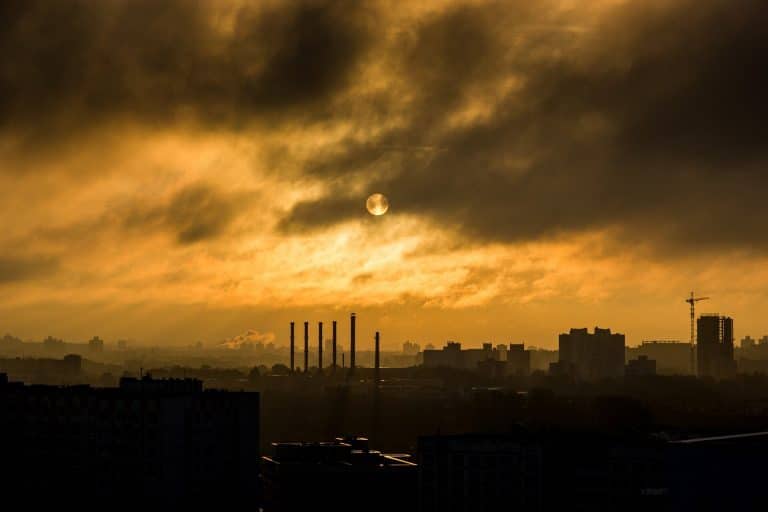 Do the climate effects of air pollution impact the global economy