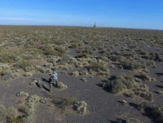 Major study shows climate change can cause abrupt impacts on dryland ecosystems