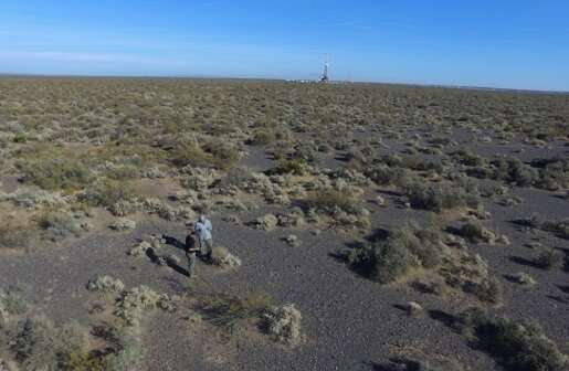 Major study shows climate change can cause abrupt impacts on dryland ecosystems