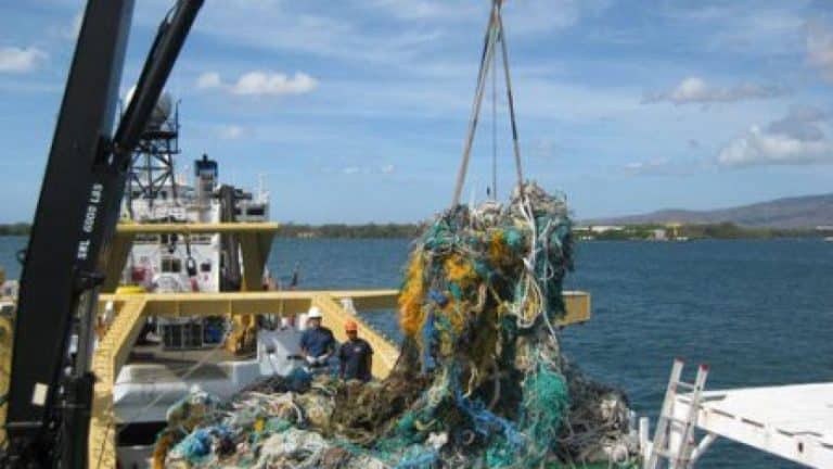 Prevention and Control of Pollution From Ships