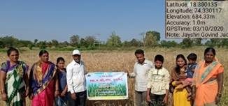 Scientists of ARI Pune develop biofortified high protein wheat