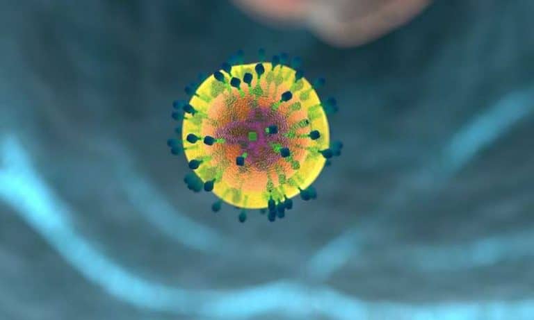 Sex-specific traits of the immune system explain men's susceptibility to obesity