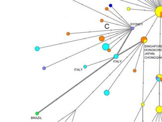 COVID-19 Genetic network analysis provides