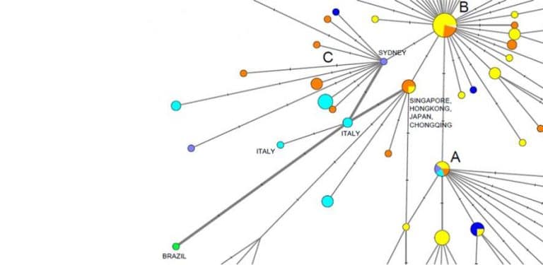 COVID-19 Genetic network analysis provides
